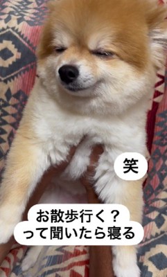 口角がほころんでるような…