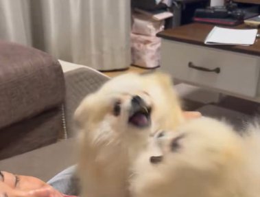 大喧嘩
