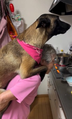 おんぶしてもらう大型犬