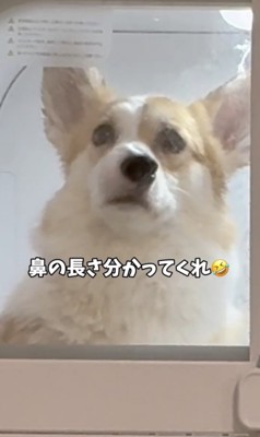 じわじわきてしまいます