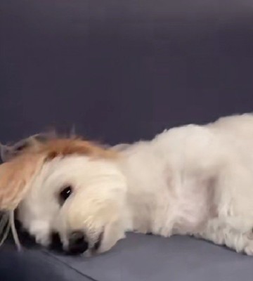 目が覚めた…？