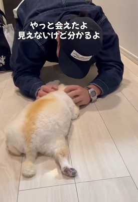 優しく撫でてくれた