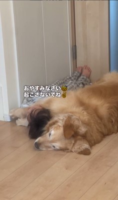 きなこちゃんと二度寝する男の子8