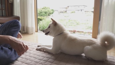 ノリノリで芸を披露中