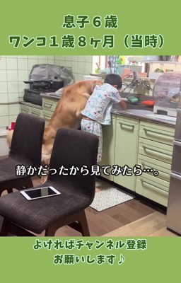 静かだと思ったら…？