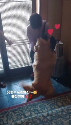 歓迎する大型犬