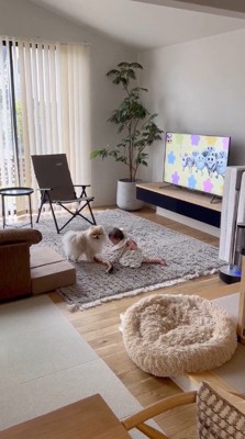 リビングで遊ぶ女の子を近くで見守る犬