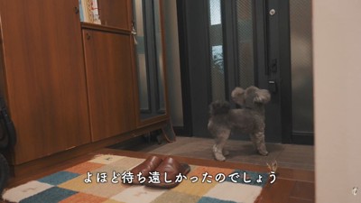 「来た…！」と大喜び