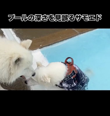 みんな心配してた