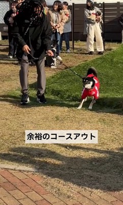 「障害物競走」もコースアウトで失格