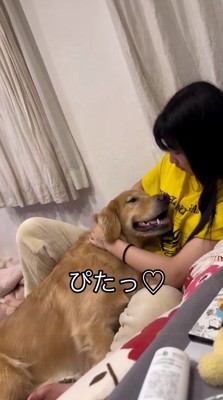 女の子に体を預ける犬