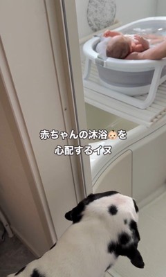 赤ちゃんを心配するジルくん3