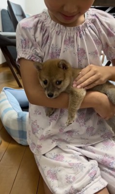 赤ちゃん犬時代のソラちゃん