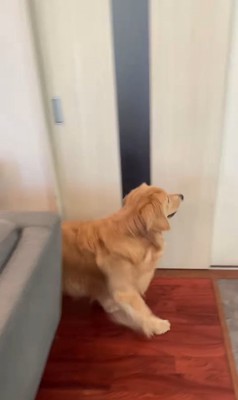 サンちゃんの熱烈歓迎2