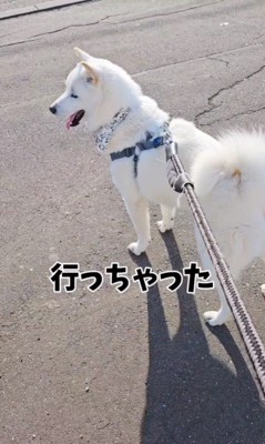 お父さん出張時のてつ君6