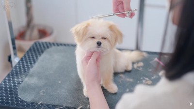 思わずウトウト…