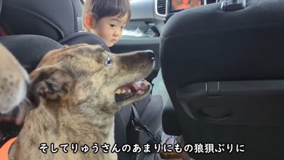 男の子も呆れ気味(笑)