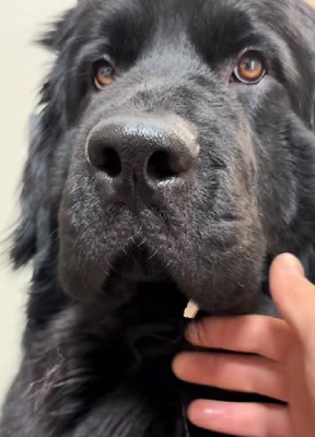 口元に壁紙が…