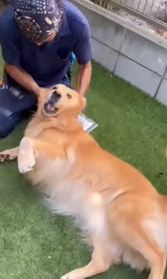 そら君と植木屋さんのふれあい6