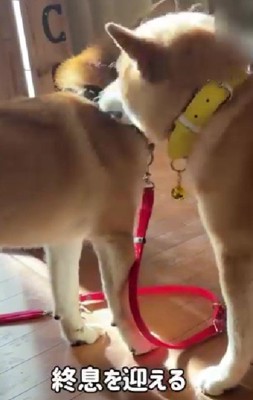 急にスイッチオフ