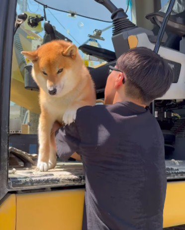 「パパ、抱っこして!」