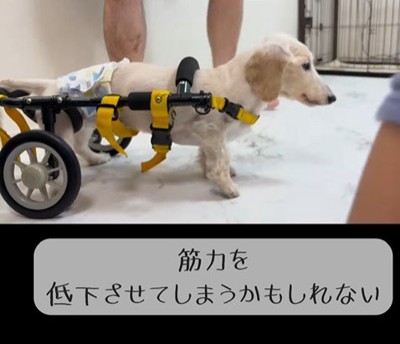 車椅子に挑戦する琥珀くん5