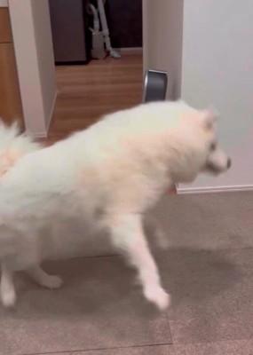 キャッチ失敗しちゃった！！