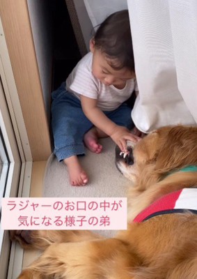 口の中が気になる…