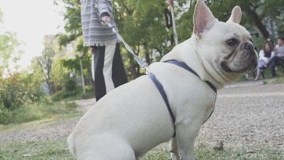 帰る気ゼロ!