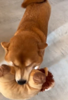 「おかえり！待ってたよ」