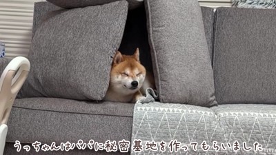 かまくらの中でクールダウン