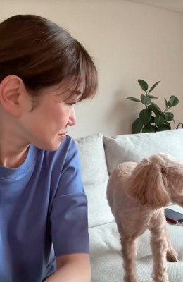 そっぽを向く小型犬