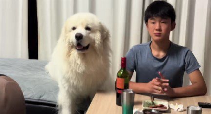 そっと寄り添うfamくん