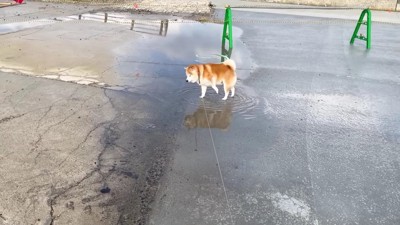 思ってたより深い…!!