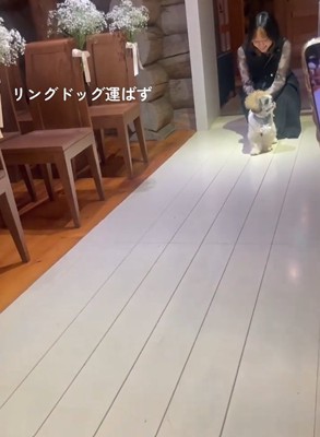 横を向く犬