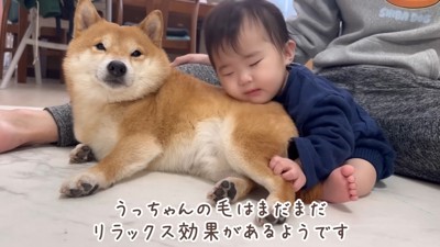 素敵なお兄ちゃんだね!