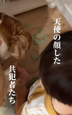 おやつを食べるボーロくん