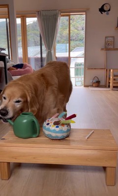 お手伝いをするホット君4