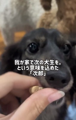 おやつを食べる次郎くん