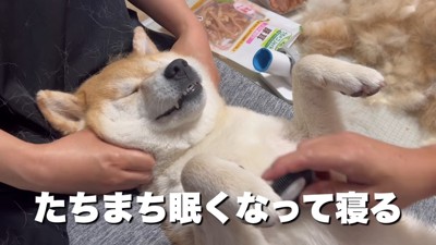 マッサージ付き♡