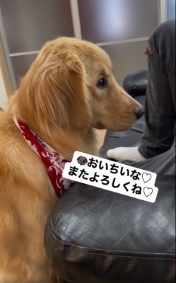 お兄ちゃんを見つめるマリンちゃん