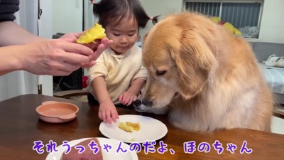 こっちがいい！！