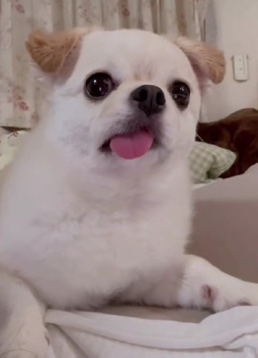 「え…どういうこと…?」