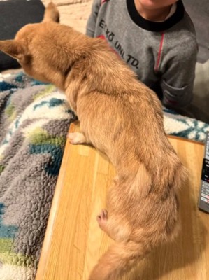 ガリガリのおもちちゃん2