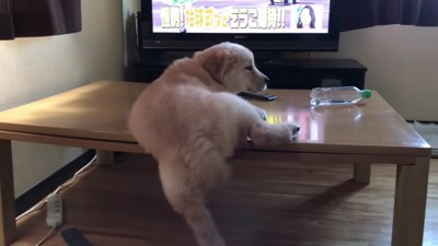 なかなか登れない…