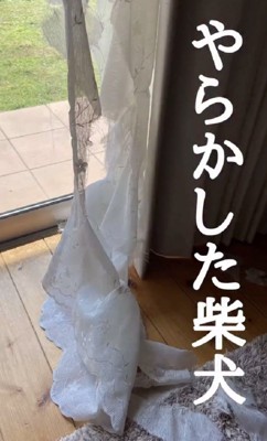 盛大なやらかし