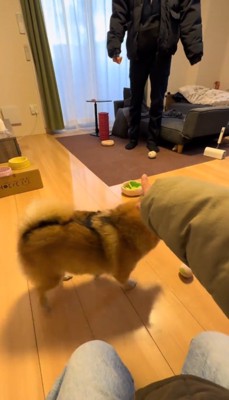 男性を指さす女性