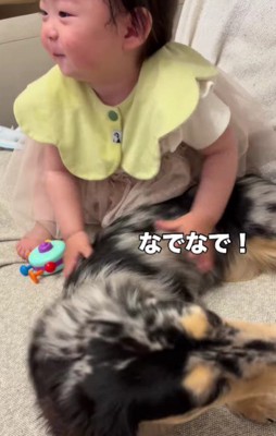 なでなでも強め!?