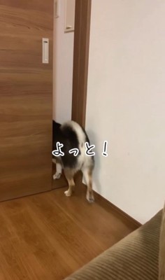お兄ちゃんを引き止めるダンクくん8