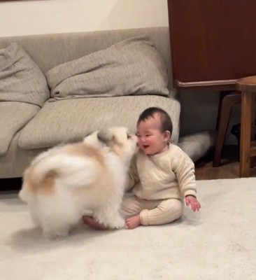 顔を近づける小太郎くん